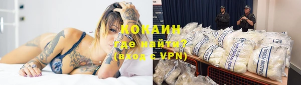 сатива Елизово