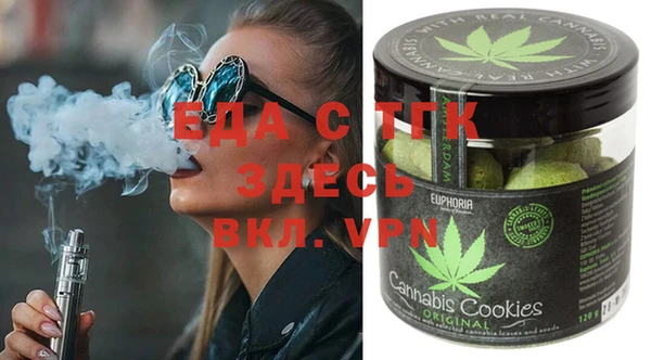 стаф Инта